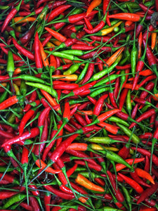 Fresh Thai Chili πΆπΆπΆπΆπΆ